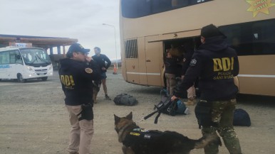 Operativo antidrogas en Calafate: con perros incautan estupefacientes con la colaboración con PSA