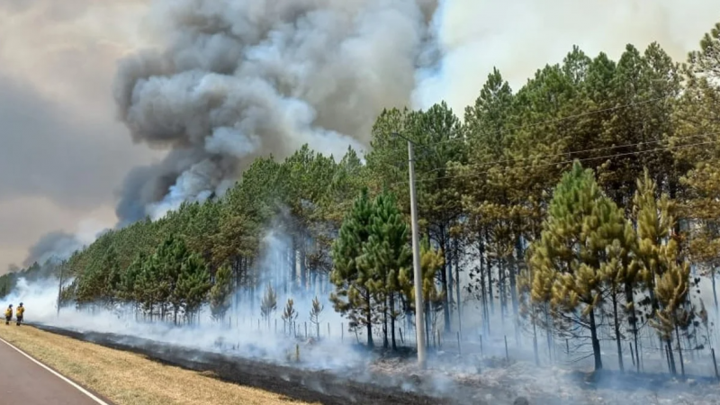 El viento, decisivo para mantener el fuego fuera de control en el Parque Los Alerces