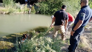 Éxito en el rescate: salvaron a  un caballo atrapado en un canal