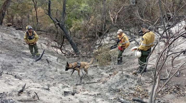 El viento puede complicar la lucha contra el fuego en el Parque Los Alerces