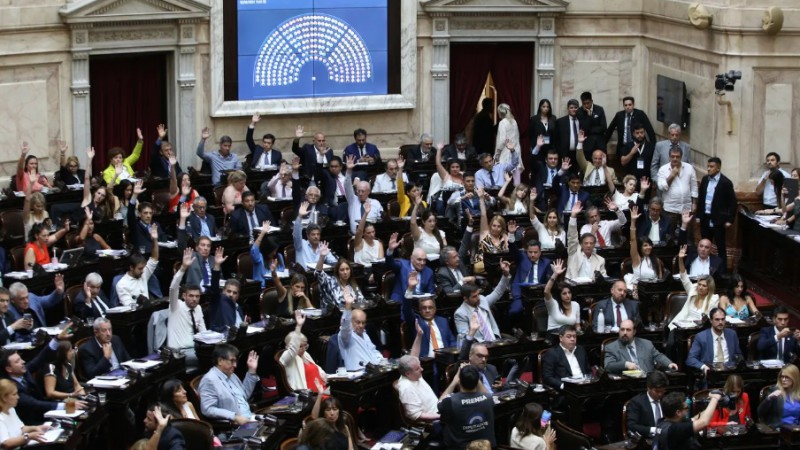 Ley mnibus: el voto en general de los diputados de SER, cmo votaran en particular y los artculos innegociables