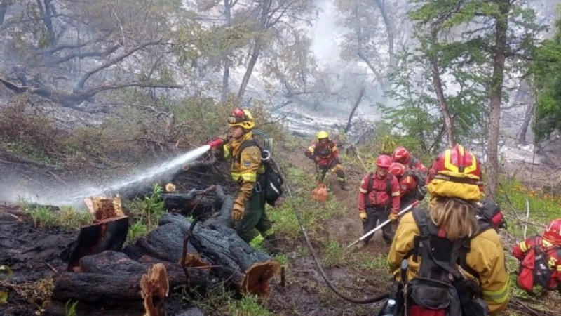 El fuego consumi ms de 6 mil hectreas.