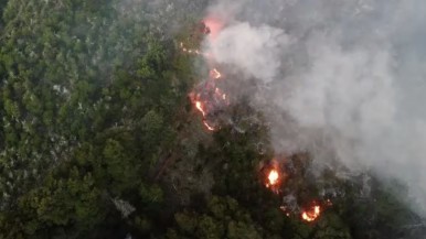 Ofrecen $ 5 millones para quien brinde datos de los autores del incendio del Parque Nacional Los Alerces