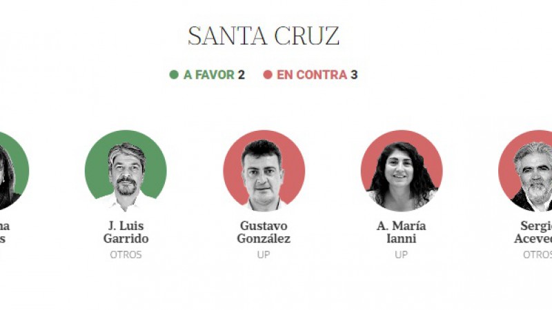 Los diputados de Santa Cruz votaron de diferente manera cada uno de los artculos en particular. 