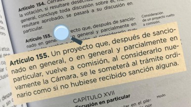 Ley Ómnibus caída: según una diputada kirchnerista de Santa Cruz "el pueblo pidió a gritos" que la norma no avanzara 