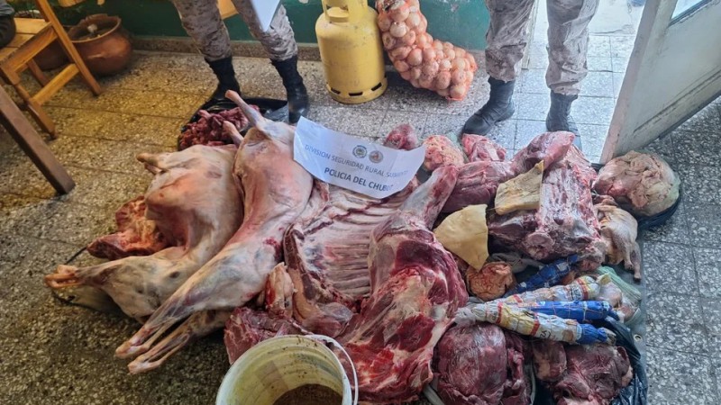 Tenan una carnicera clandestina y vendan a travs de Facebook: la carne estaba en un bao y haba excremento de ratas