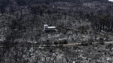 El milagro de Alto Río Percy: una casa de madera se salva del incendio en medio de la ddevastación