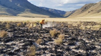 Fuego en el parque Nahuel Huapi: lograron controlar un foco iniciado por un rayo