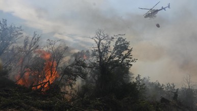 Señalan que el incendio del Parque Los Alerces sigue activo pero "apaciguado"