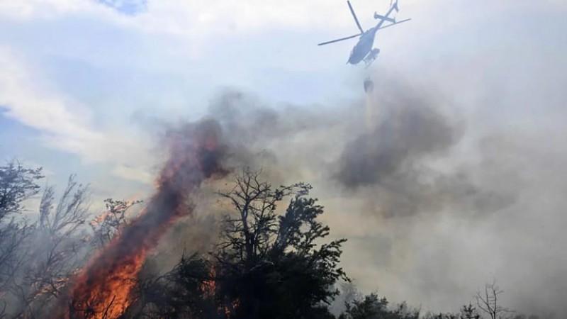 El incendio en el Parque Nacional Los Alerces ya afect 8205 hectreas de bosque nativo