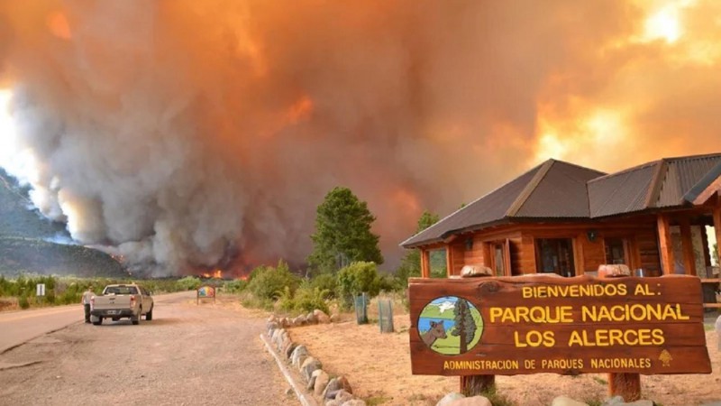 Incendio en parque Los Alerces: bajo un intenso calor, brigadistas siguen combatiendo las llamas