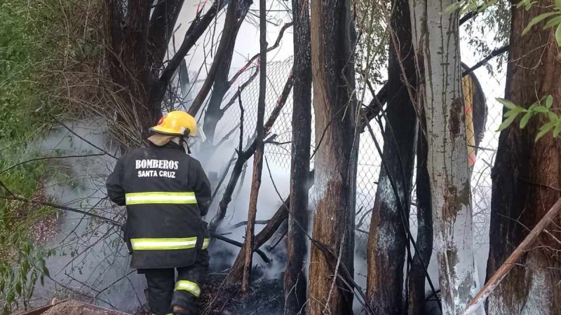 Incendio en Hotel Los lamos: Colilla de cigarrillo desencadena una emergencia