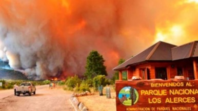 Incendio en Parque Nacional Los Alerces: pidieron ayuda al FBI para encontrar a los responsables 