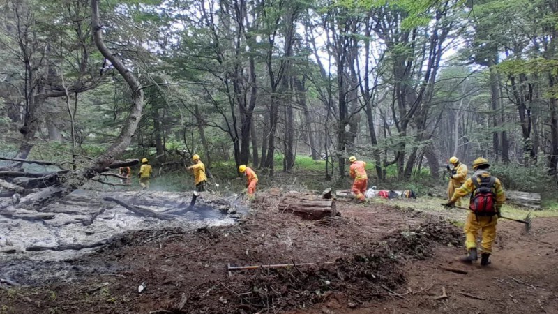 Incendio en Los Alerces: ms de 2 mil brigadistas en intensa lucha a 22 das del inicio