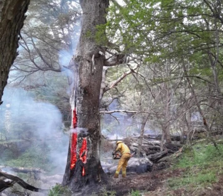 Incendio en Los Alerces: ms de 2 mil brigadistas en intensa lucha a 22 das del inicio