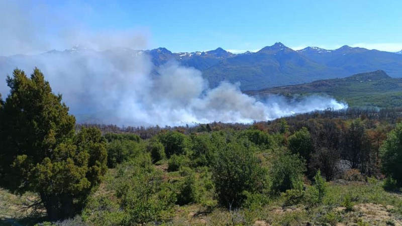 60 mil hectreas de reas protegidas fueron consumidas por el fuego en 2023