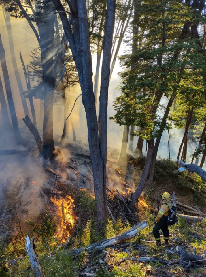 El incendio en Tanquinquin, originado por una tormenta elctrica afect 2 hectreas y se encuentra contenido