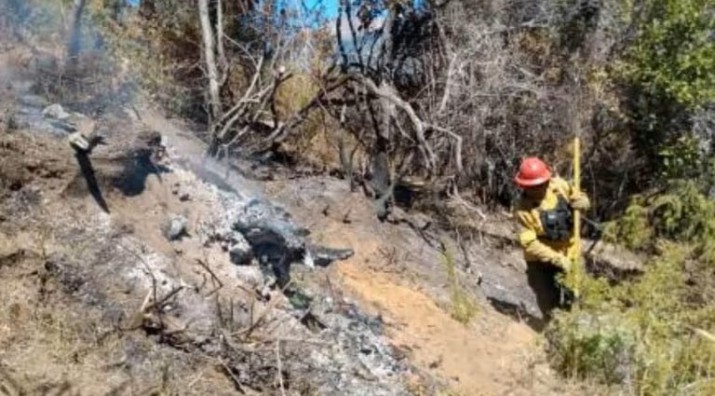 Los operativos de sofocamiento del fuego seguirn ste sbado (Tlam)