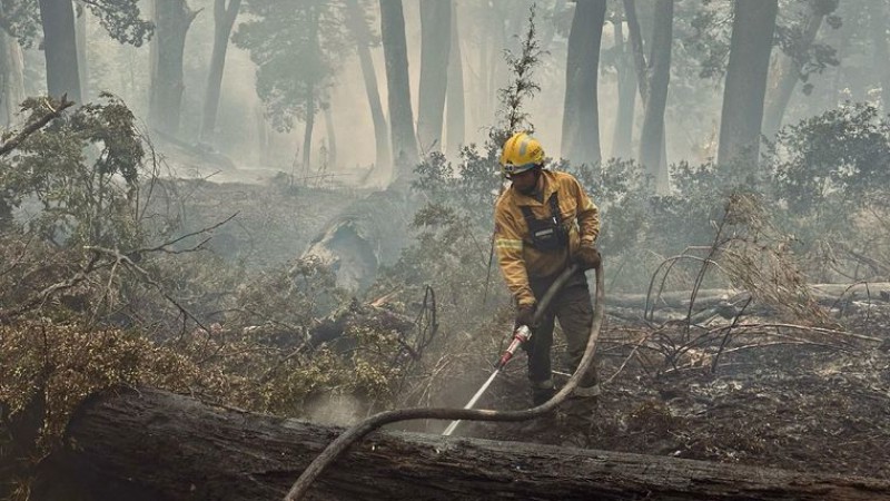 Incendio en parque Los Alerces: tras 27 das lograron controlar el fuego