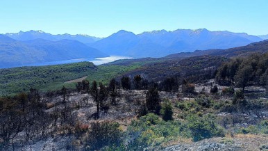 El fuego consumió hectáreas enteras de vegetación 