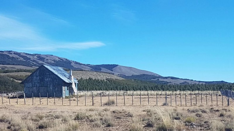 Rescataron a un trabajador rural y su familia: no coman hacia varios das