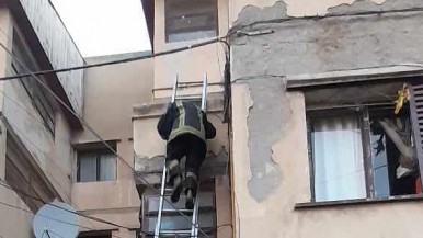 Río Gallegos: Bomberos lograron rescatar a gato atrapado en un edificio 