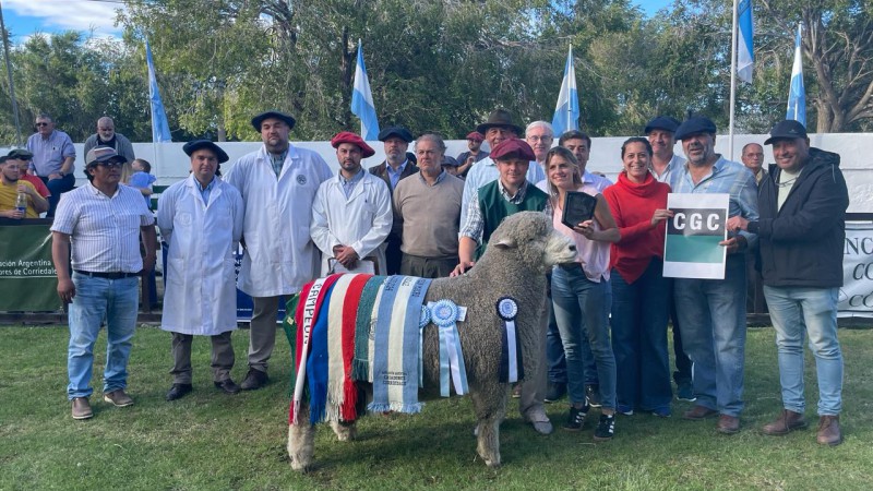 La Josefina obtuvo el gran campen corriedale 
