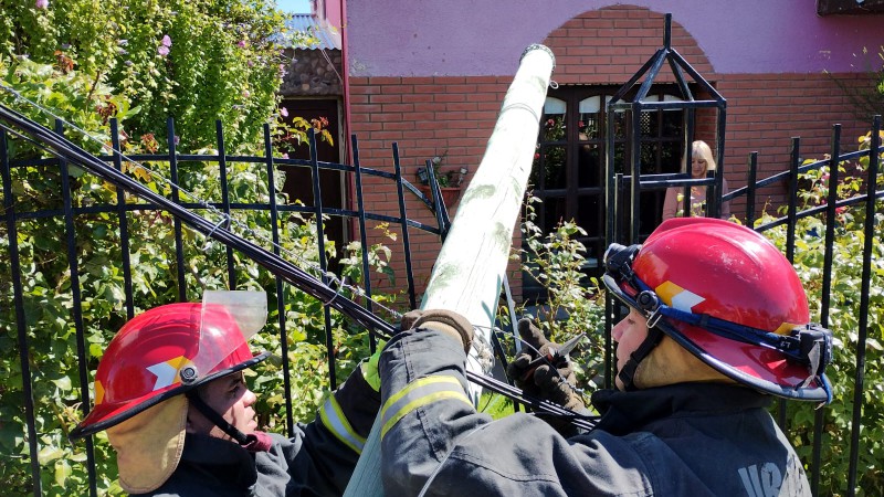 Bomberos intevinieron en cada de un poste.