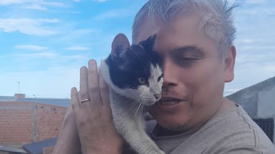 Río Gallegos: Rescatan a un gatito atrapado en una chimenea  