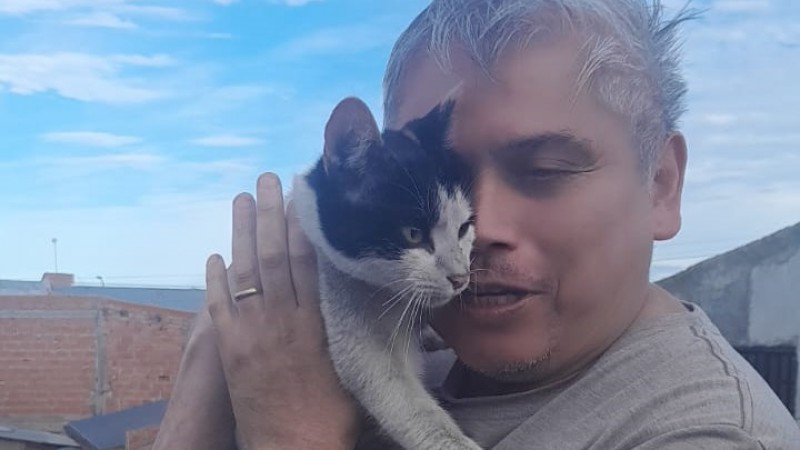 Ro Gallegos: Rescatan a un gatito atrapado en una chimenea  