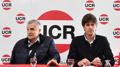 El presidente de la UCR aseguró que los cinco diputados de su partido que apoyaron el veto de Milei, "han negociado"