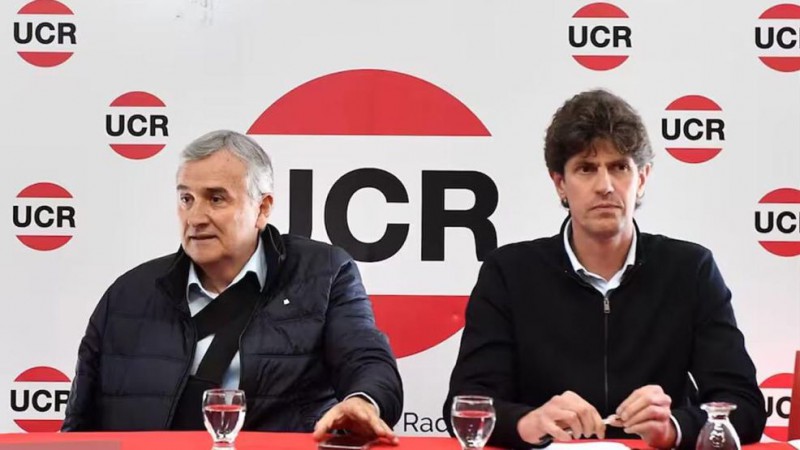 El presidente de la UCR asegur que los cinco diputados de su partido que apoyaron el veto de Milei, "han negociado"