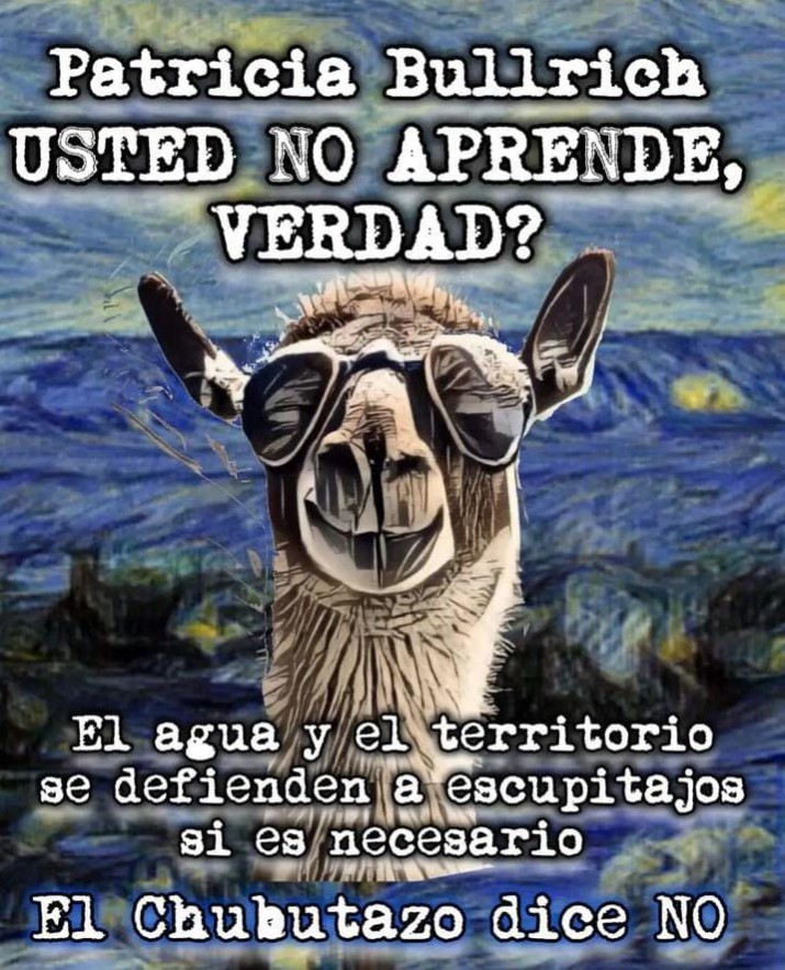 Movimientos contra la Megaminera en Chubut le responden a Bullrich y toman al guanaco como smbolo 