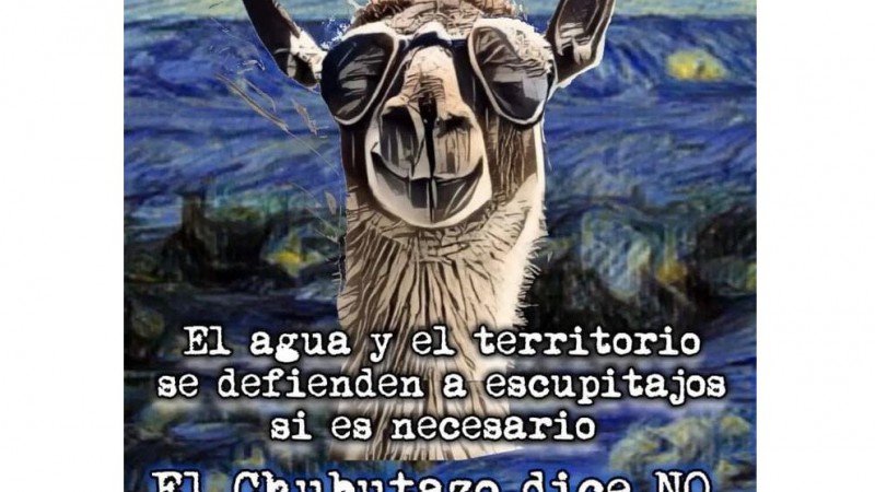 Movimientos contra la Megaminera en Chubut le responden a Bullrich y toman al guanaco como smbolo 