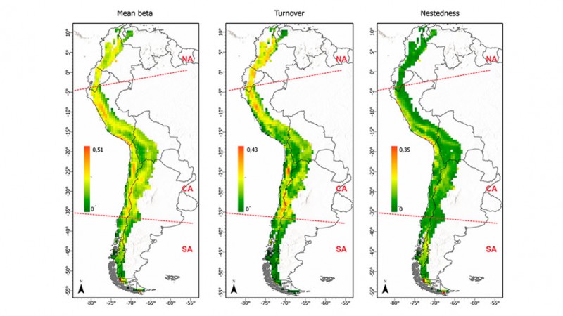 Cientificos argentinos investigan la biodiversidad en la cordillera