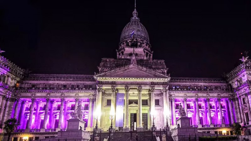 El Congreso de la Nacin elimin el simblico color violeta por el #8M: qu color utilizarn 