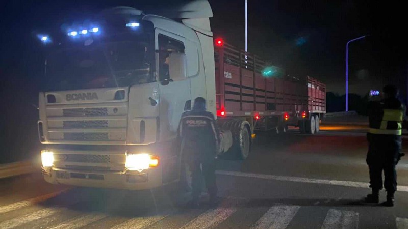 Transportaban 41 equinos, 10 de los cuales estaban en la camioneta y 31 en el camin.