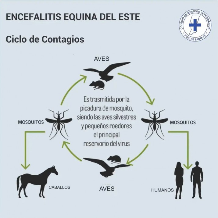 Encefalomielitis equina en Chubut