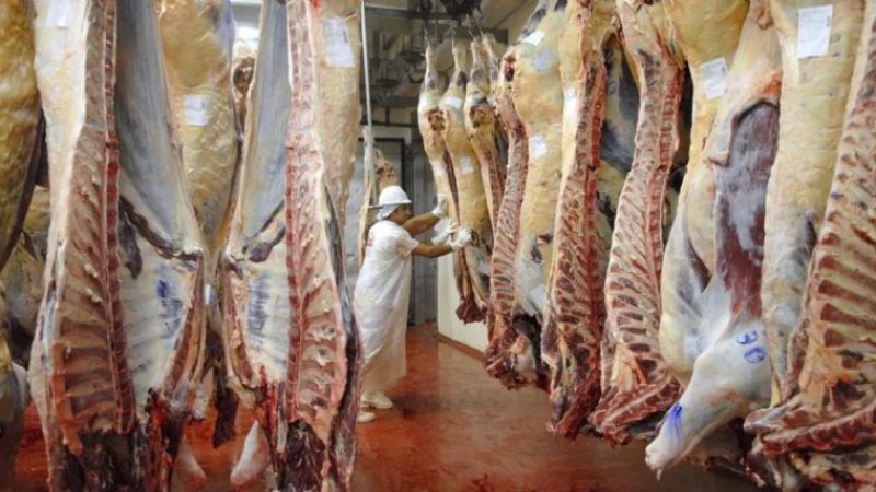 Exportacin de carne argentina: el principal comprador y cuntos dlares genera