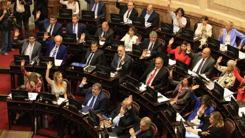 El Senado rechaz la validez del DNU de Milei