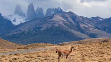 Los parques nacionales menos visitados de Argentina y por qué deberías conocerlos