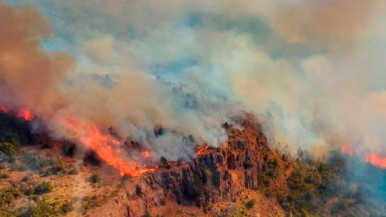 Victoria contra el fuego: Chubut anuncia la extinción del incendio en Parque Nacional "Los Alerces"