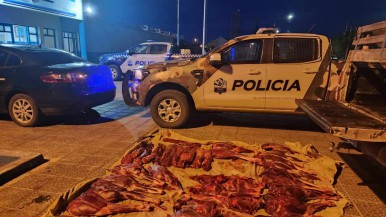 En plena ruta de Santa Cruz, incautaron animales faenados, armas y encontraron una persona que tenía una orden detención  