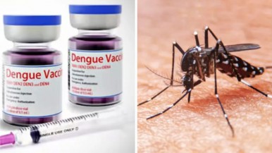 Hay récord de dengue y dudas con la vacuna