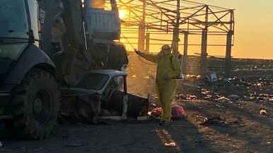 Invasión de moscas en Río Gallegos: el motivo,  la fumigación, cuándo se irán y las recomendaciones 