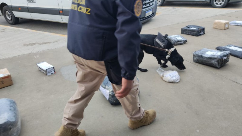 Perros relizaron controles de paquetera en la terminal sanjulianense. 