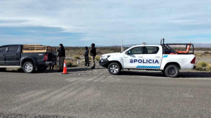 Un nuevo decomiso tuvo lugar en la Ruta Provincial 43