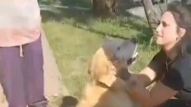 Indignante: policías rescataron a un perro que su dueña llevó a faenar a una carnicería