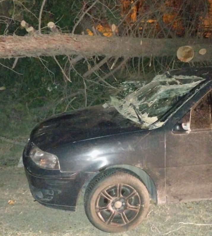 Trelew castigada por voladuras de techos y cada de rboles por vientos de 110 km/h