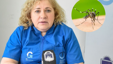  Marcela González: "No hay casos autóctonos ni presencia del mosquito transmisor en Río Gallegos"